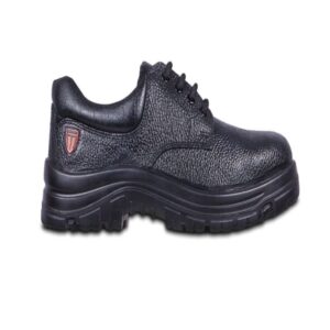 tata tagra boost lo b