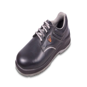 tata tagra molten lo h